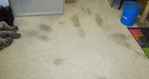 Escondido carpet cleaners